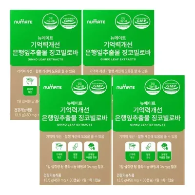뉴메이트 기억력개선 은행잎추출물 징코빌로바 (4박스/4개월분)
