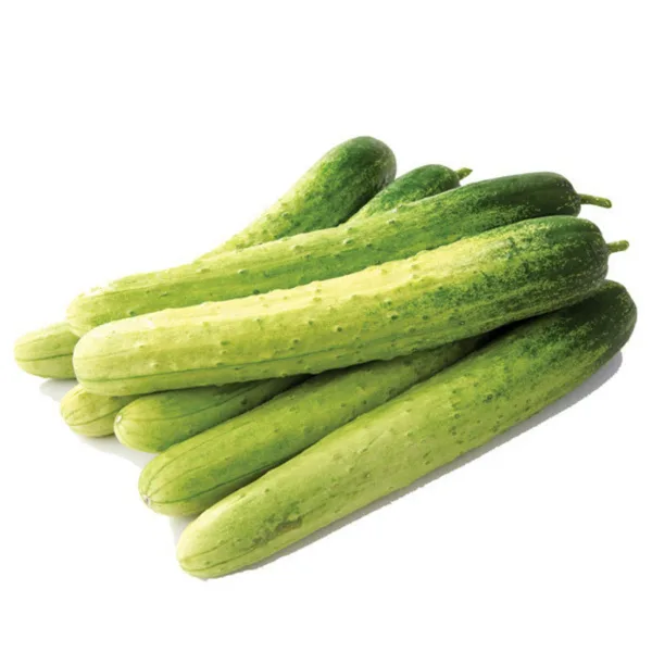 백다다기 오이 2kg 특품