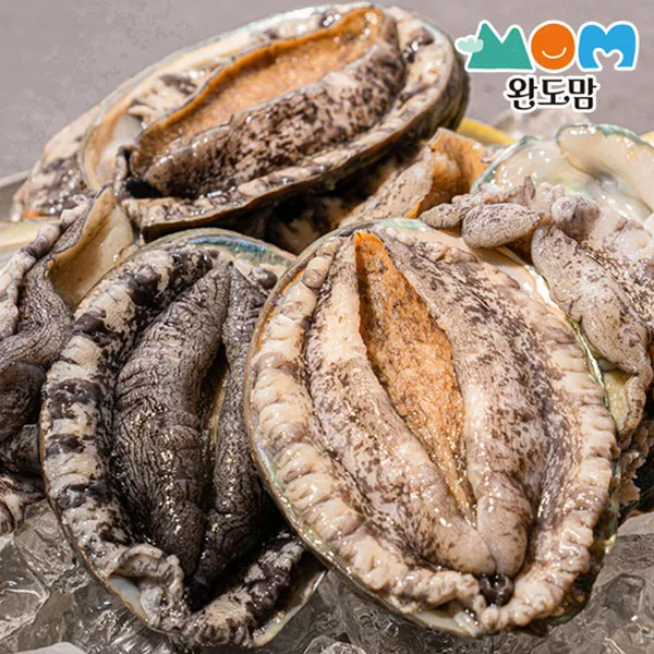 완도 활전복 왕특대 6미 1kg