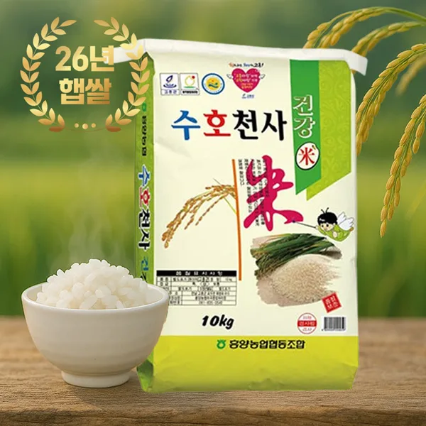 26년산 고흥 흥양농협 수호천사 건강미 햅쌀 10kg 상등급