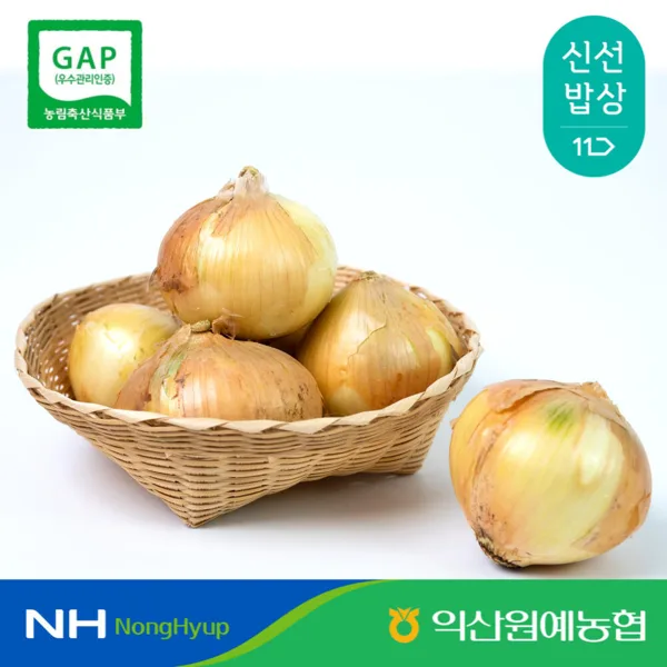 익산원예농협 26년 국내산 양파 중대사이즈 5kg