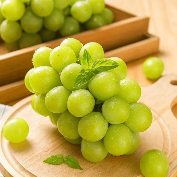 샤인머스켓 2kg 2-4수 특품