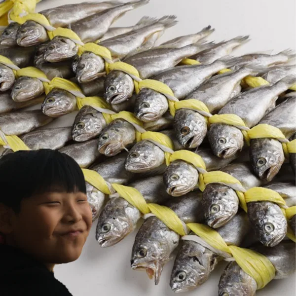영광 굴비 참조기 1.6kg 20미
