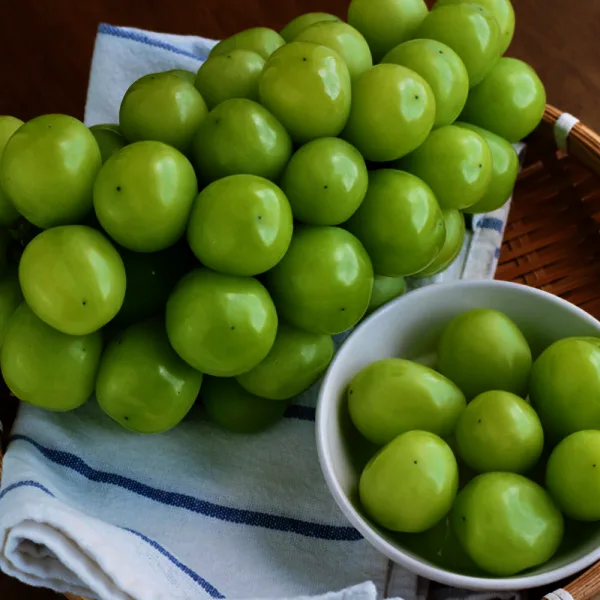 샤인머스켓 2Kg 3~4수