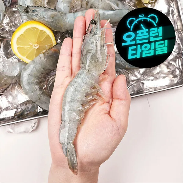 국내산 흰다리새우 횟감용 1kg 32미 내외