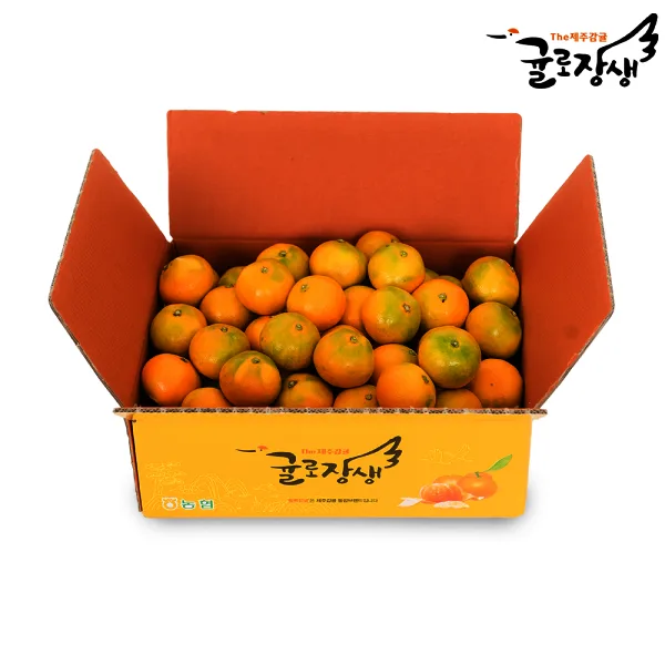 제주농협 귤로장생 하우스감귤 4.5kg 소과