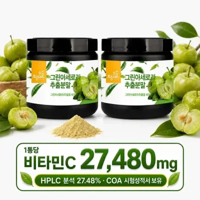 그린아세로라 추출분말 100g X 2개 아세로라 비타민C 4~6개월 대용량 정품 브라질산