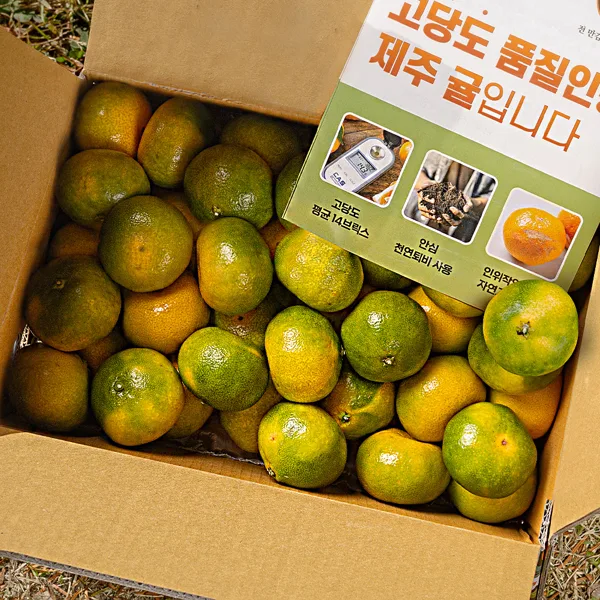 제주 감귤 황금향 선물세트