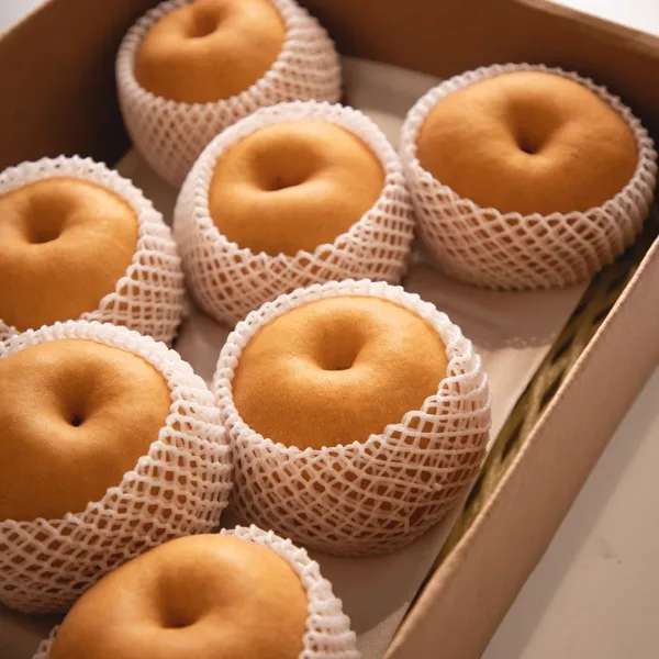 과일꾼 26년 햇배 산지직송 나주배 가정용 특품(3kg/5kg/15kg)