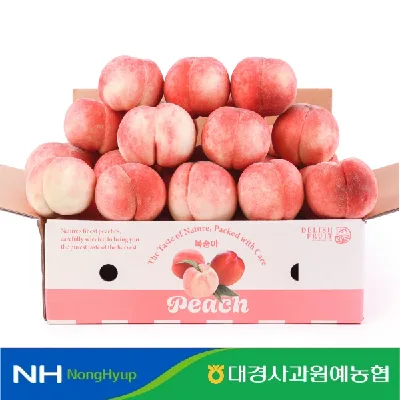 영천 딱딱이 복숭아 2kg