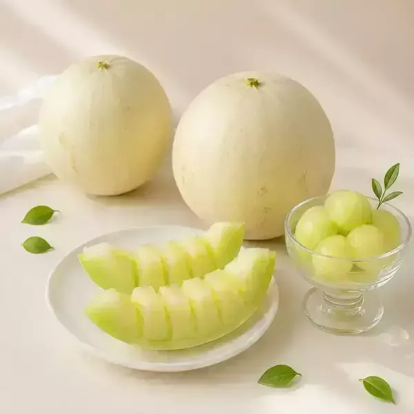 허니듀 멜론 특대과 2개 신한카드/카카오페이