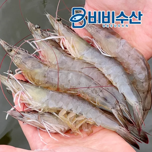 비비수산 국내산 활새우 1kg (35미내외)