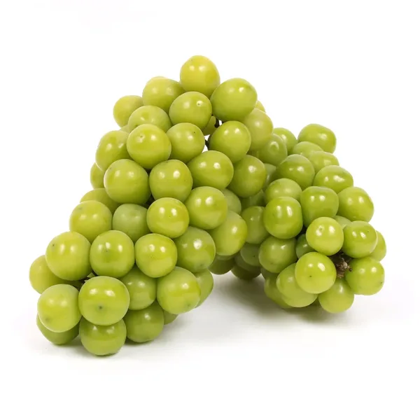 샤인머스켓 특품 1.3kg (2수)