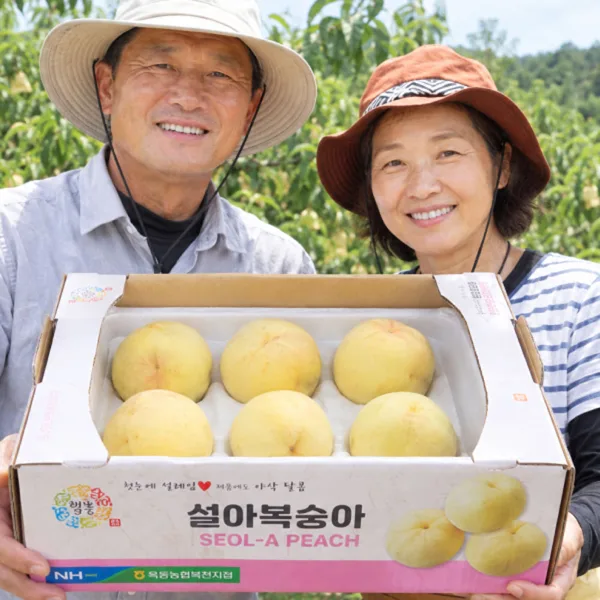 설아 백도 복숭아 1.5kg