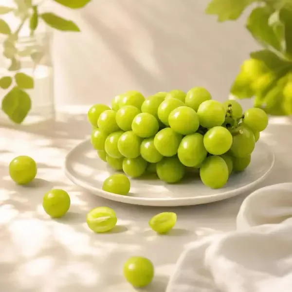 샤인머스켓 4kg 5~6수 14,080원