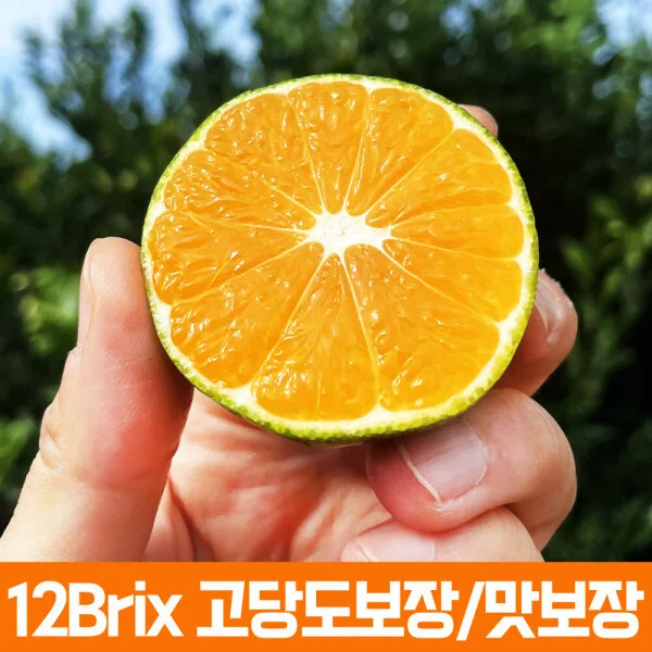 12브릭스 고당도 스위트 유라 실생 감귤 로얄과 4kg