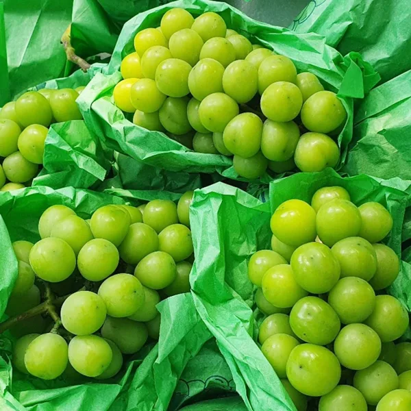 (농할30%) 샤인머스켓 특품 1kg