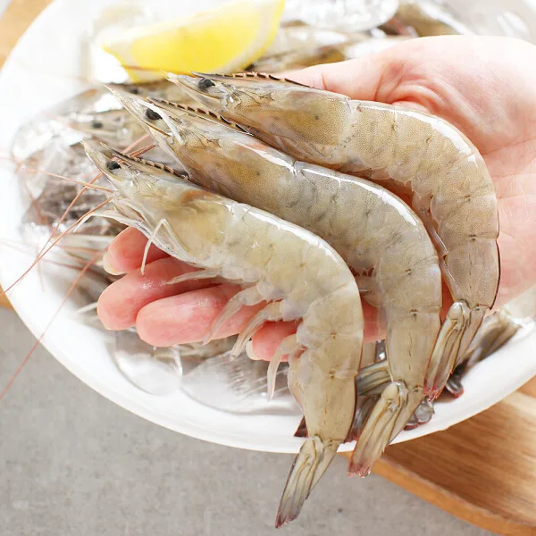 국내산 생물 새우 1kg 35~45미
