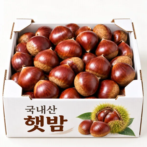 공주 알밤 햇밤 2kg 중과/대과