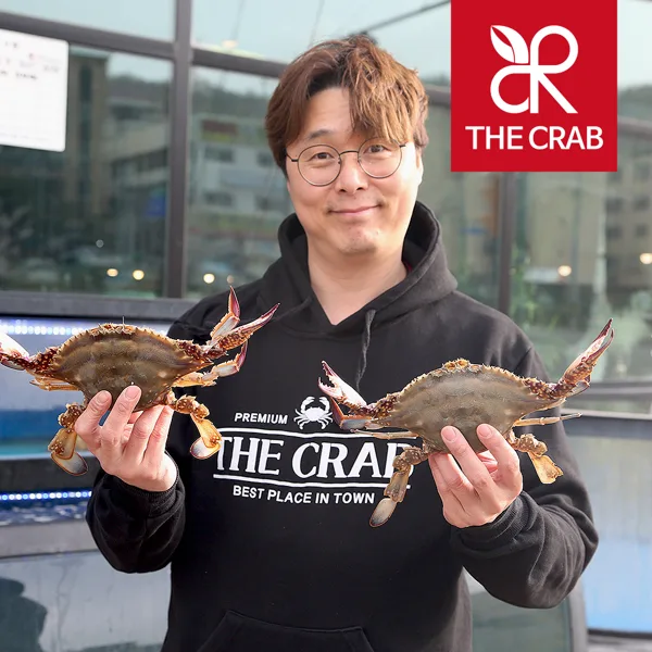 제철 꽃게 2kg 가을 봄 활꽃게 숫꽃게 암꽃게 냉동 급냉 절단