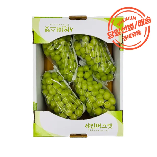 샤인머스켓 2kg 4-5수