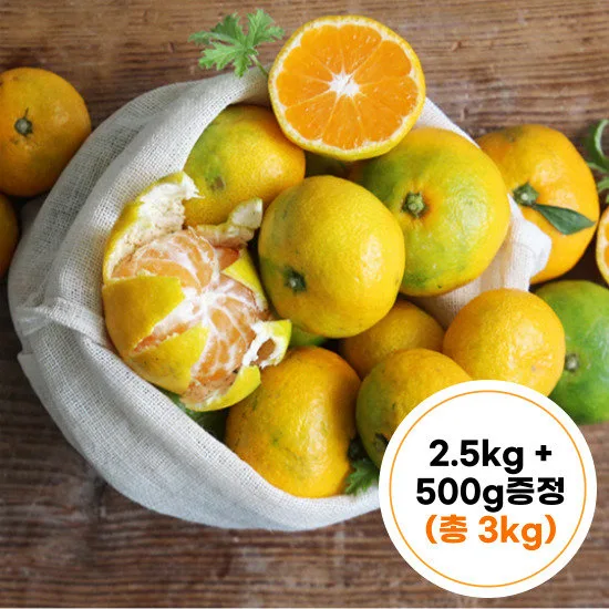 제주 극조생 노지 감귤 2.5kg 로얄과 (2S~S)