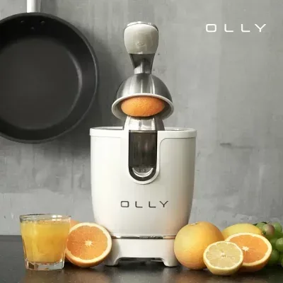 OLLY 스테인리스 과일 착즙기 콘형 저속 원액기 OLJ04 레몬즙짜개