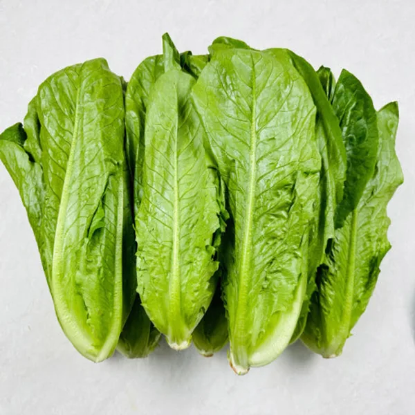 통로메인 2kg
