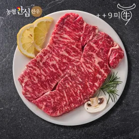 구미우 1++9등급 한우 채끝살 600g 구이용 냉장
