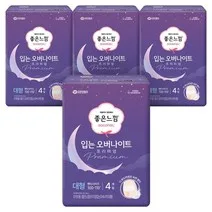 좋은느낌 프리미엄 입는 오버나이트, 대형, 4개입, 4개