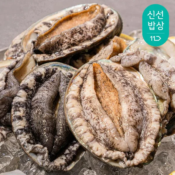 완도 활 전복1kg 6-7미 특대전복