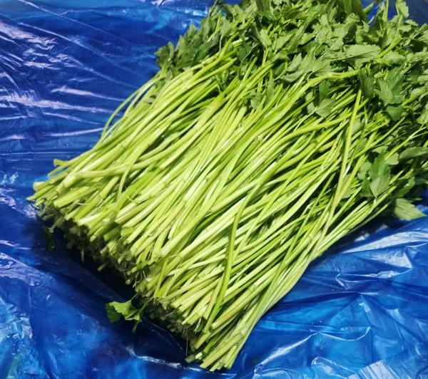 돌 미나리 1kg