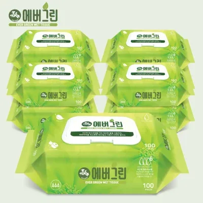 물티슈 학교용 사무용 100매 캡형 10개 에버그린