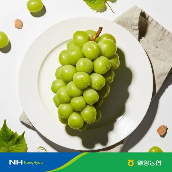 샤인머스켓 2kg 4수 특품