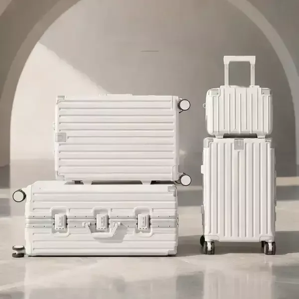 폴리카보네이트 TSA 캐리어 20인치