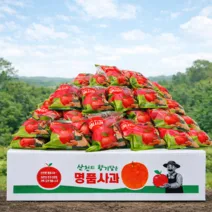 고당도선별 세척사과 껍질째먹는 꿀사과, 1박스,…