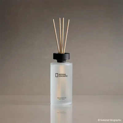 내셔널지오그래픽 프리미엄 디퓨저 500ml