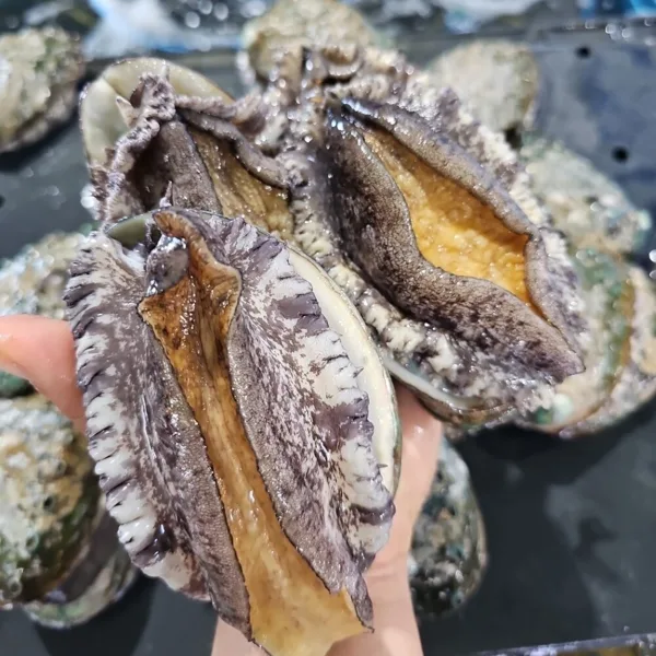 완도 활전복 왕특특대 1kg(4~6미)