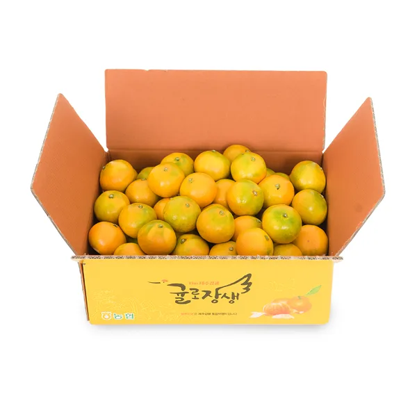 제주농협 귤로장생 하우스감귤 4.5kg 소과