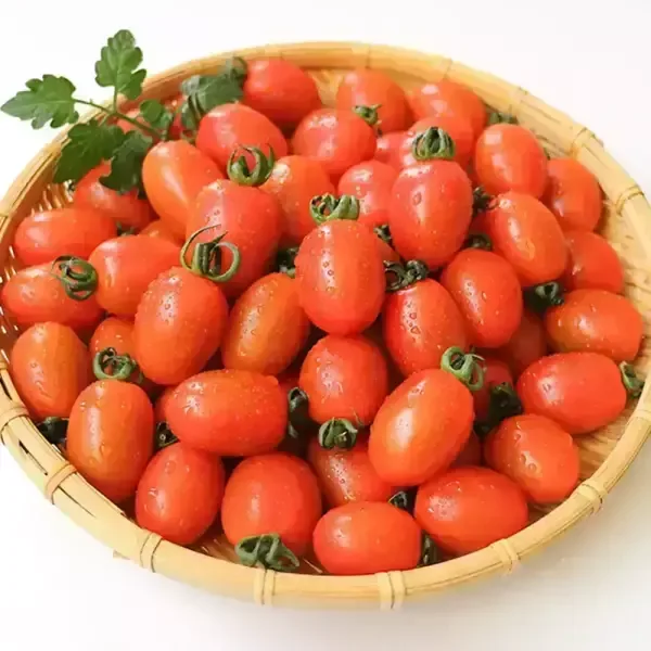 국내산 대추방울토마토 로얄과 2kg