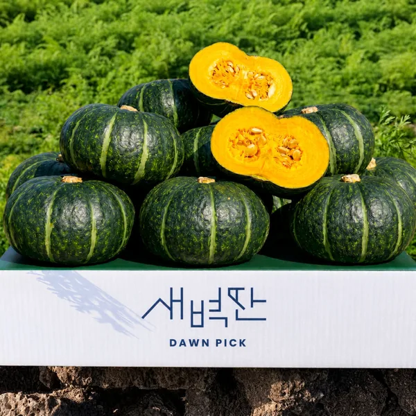 보우짱 미니 단호박 4.5kg