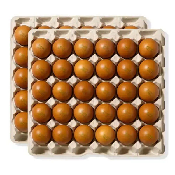 HACCP 구운계란 60구 대란