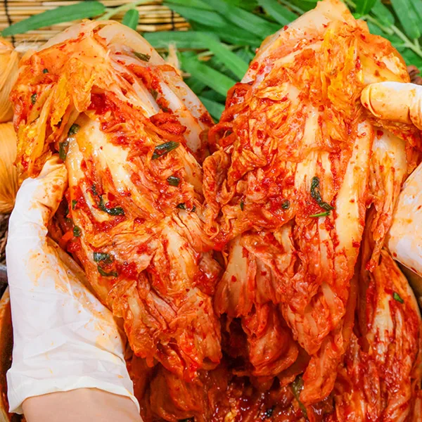 포레스트마마 국내산 전라도식 배추김치 10kg