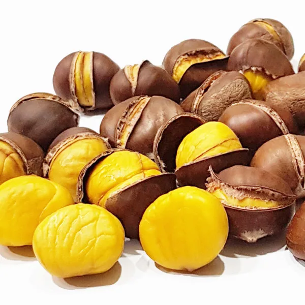 약단밤 골드 1kg