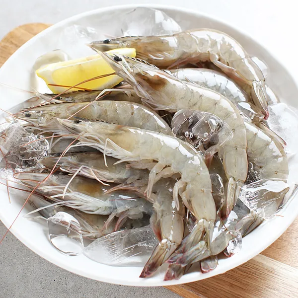 26년 햇 생물새우 1kg