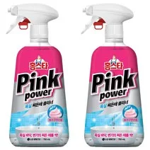 홈스타 핑크파워 욕실 찌든때 클리너, 750ml, 2개