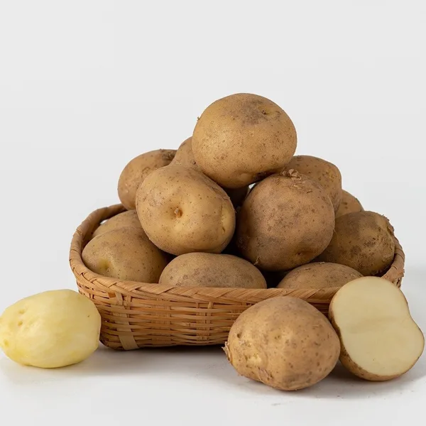국내산 제철 포슬 경남 햇 감자 2kg/5kg