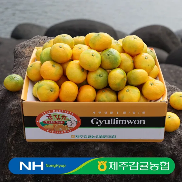 제주농협 감귤 4kg