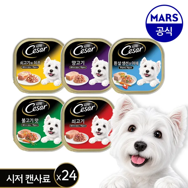 시저 캔 100g x 24개 골라담기(+시저 배변봉투 + 리필)