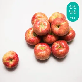경북 빨간 쥬스용 사과 8kg 랜덤외/꼬마과/가정용/미색 상처과